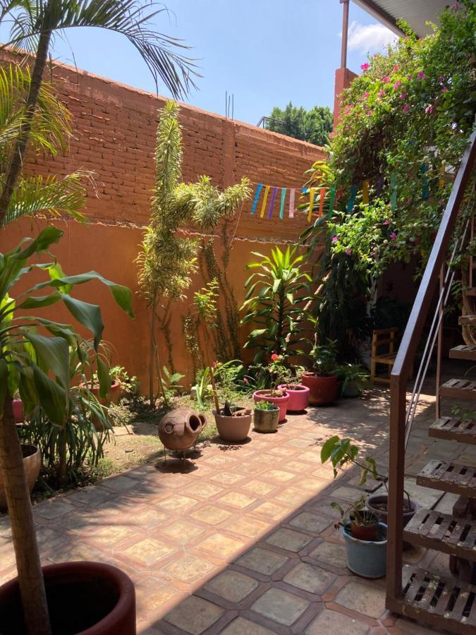 Calida Habitacion A 10 Min De Santo Domingo 오아하카주 외부 사진