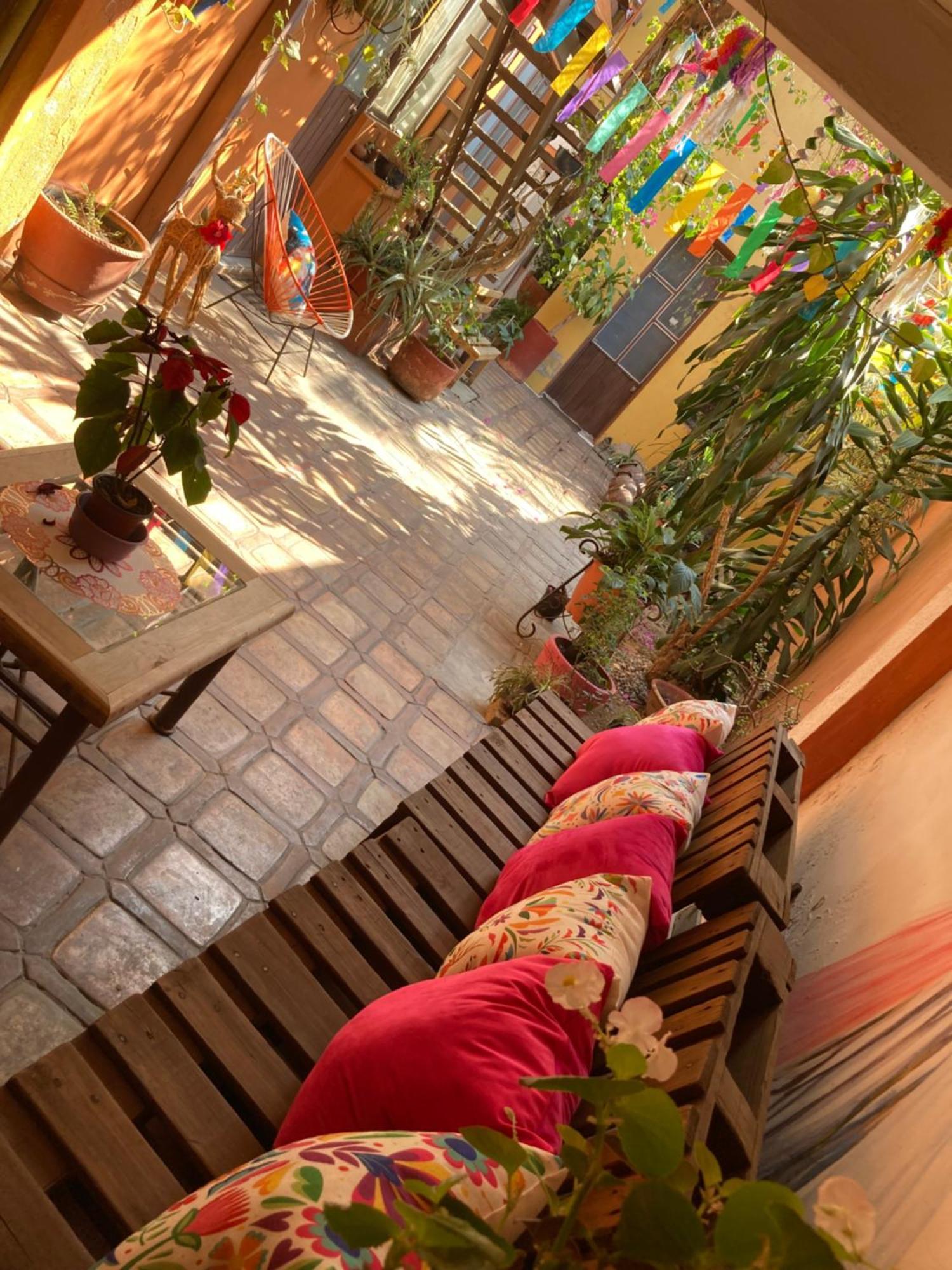 Calida Habitacion A 10 Min De Santo Domingo 오아하카주 외부 사진